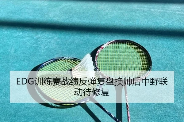 EDG训练赛战绩反弹复盘换帅后中野联动待修复